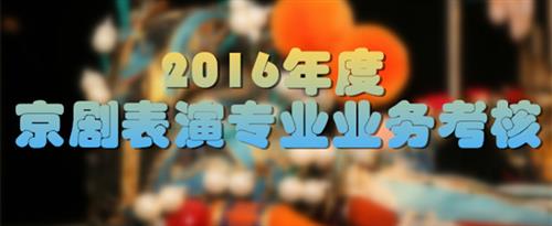 日逼网站大全国家京剧院2016年度京剧表演专业业务考...